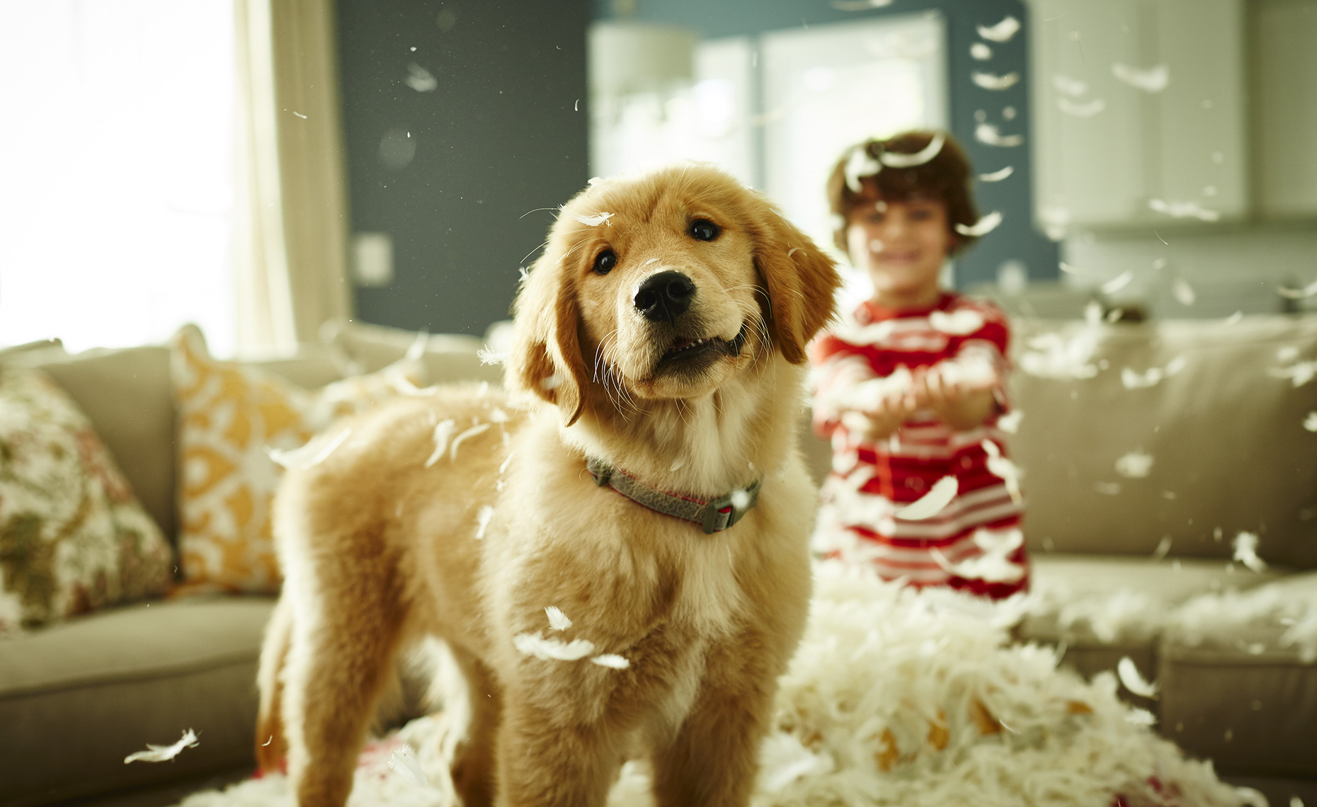 Plublix_Paws_Pet_Behavior_397