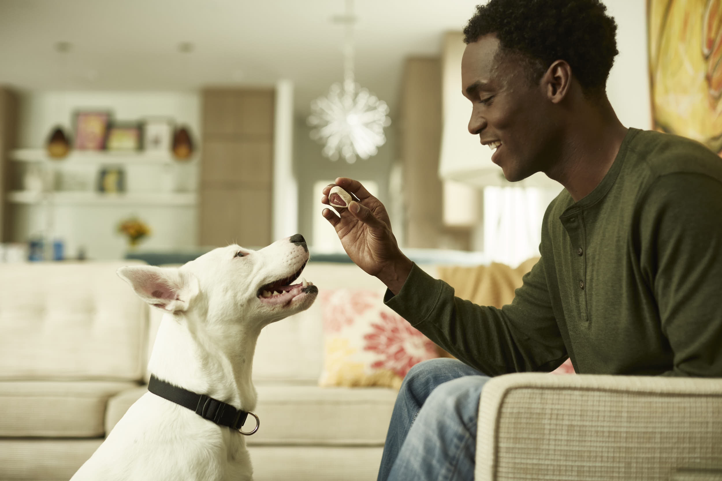 Publix_Paws_2015_Treats_091